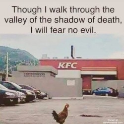 Fear No Evil