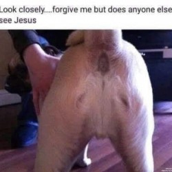 Jesus? That You?