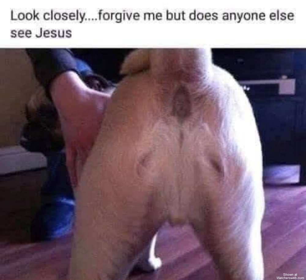 Jesus? That You? #0